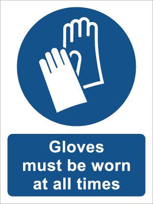 Gloves must be worn at all times