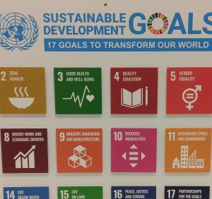 WHO Sustainable development goals sign