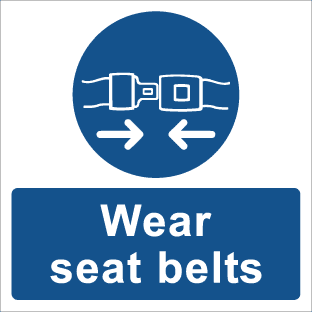 TSC3680M-Wear Seat belts