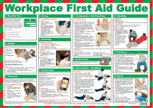 Workplace First Aid Guide (guidance)